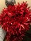 Red Metallic Twist Garland Indoor & Outdoor for Party Decorations